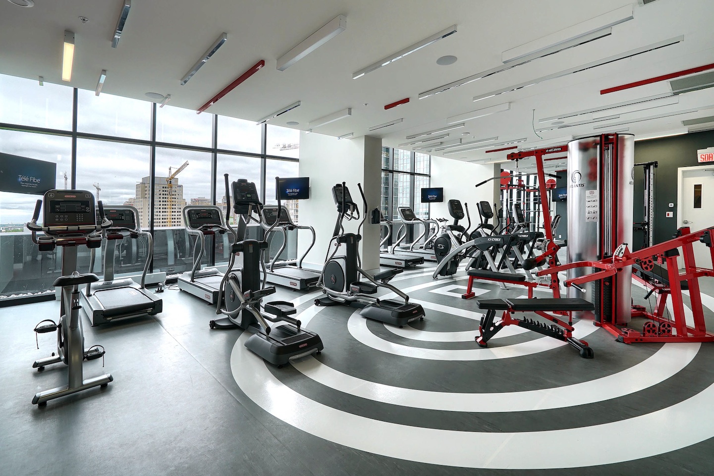 Gym_1_TdC_10