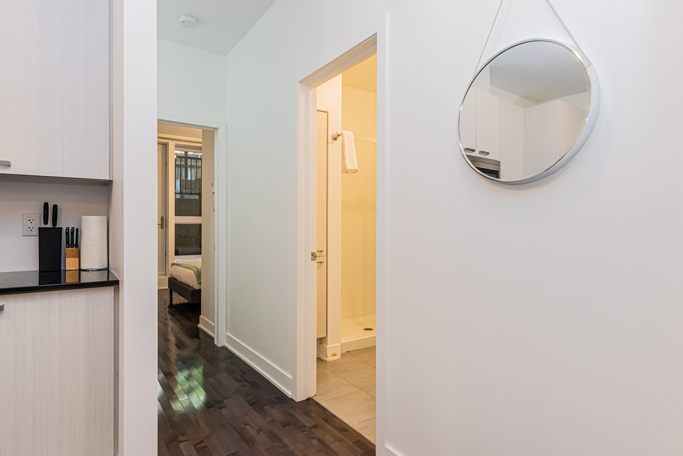 St-Do_mirror_view_image