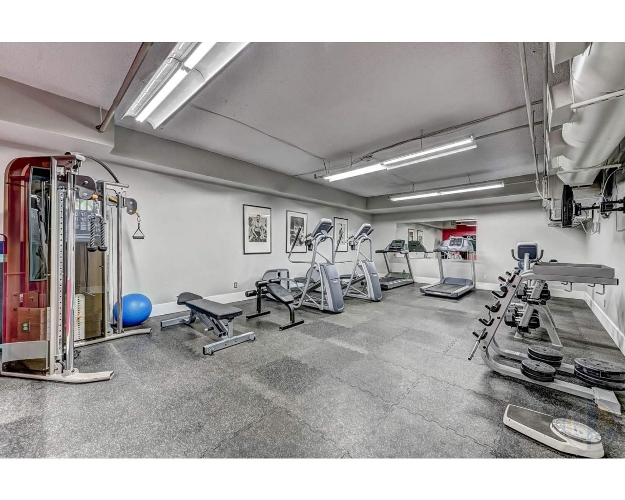 gym_14