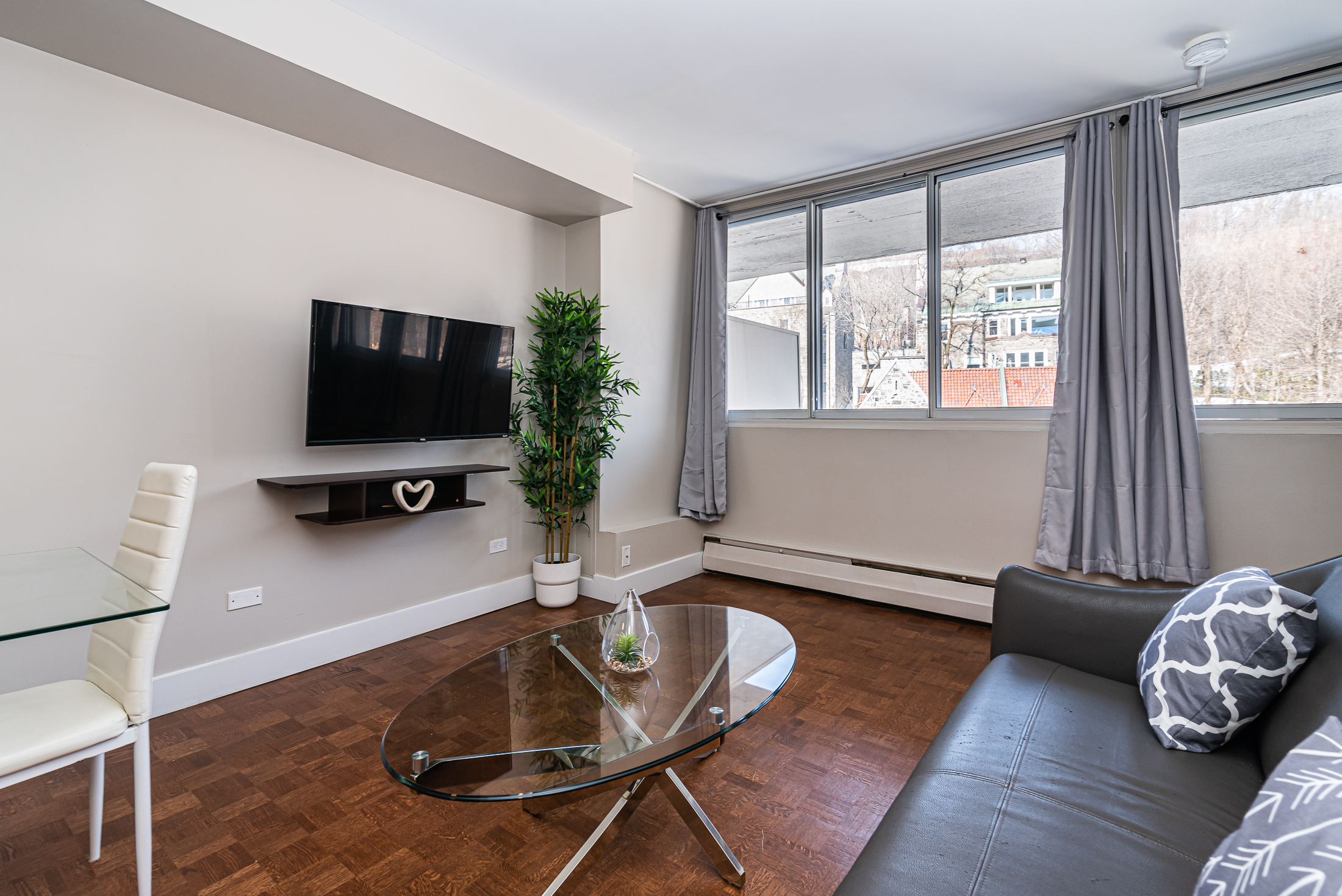 horizon__15a-Tv_view