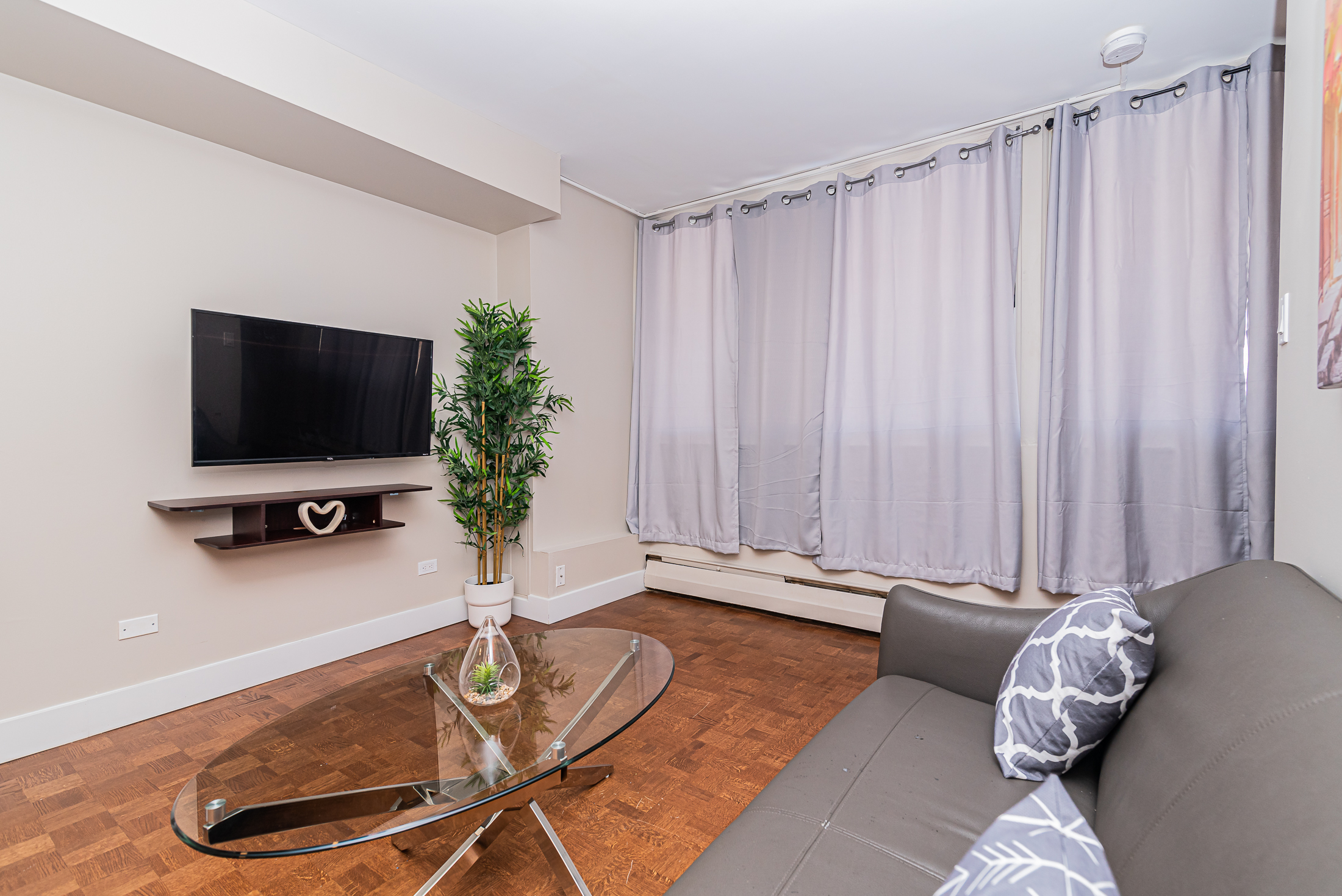 horizon__15a_tv_view2