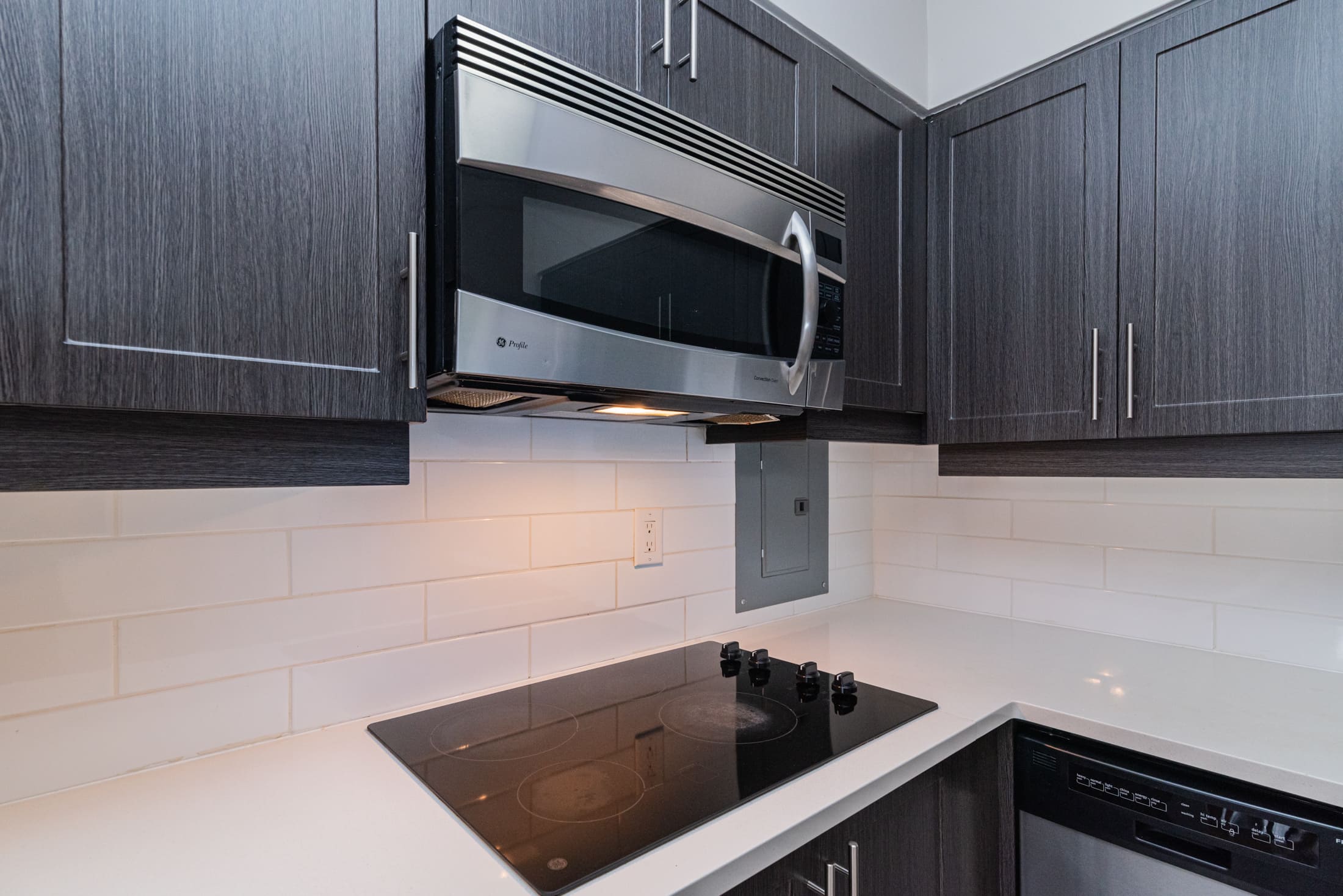 horizon__9A_kitchen_chimney