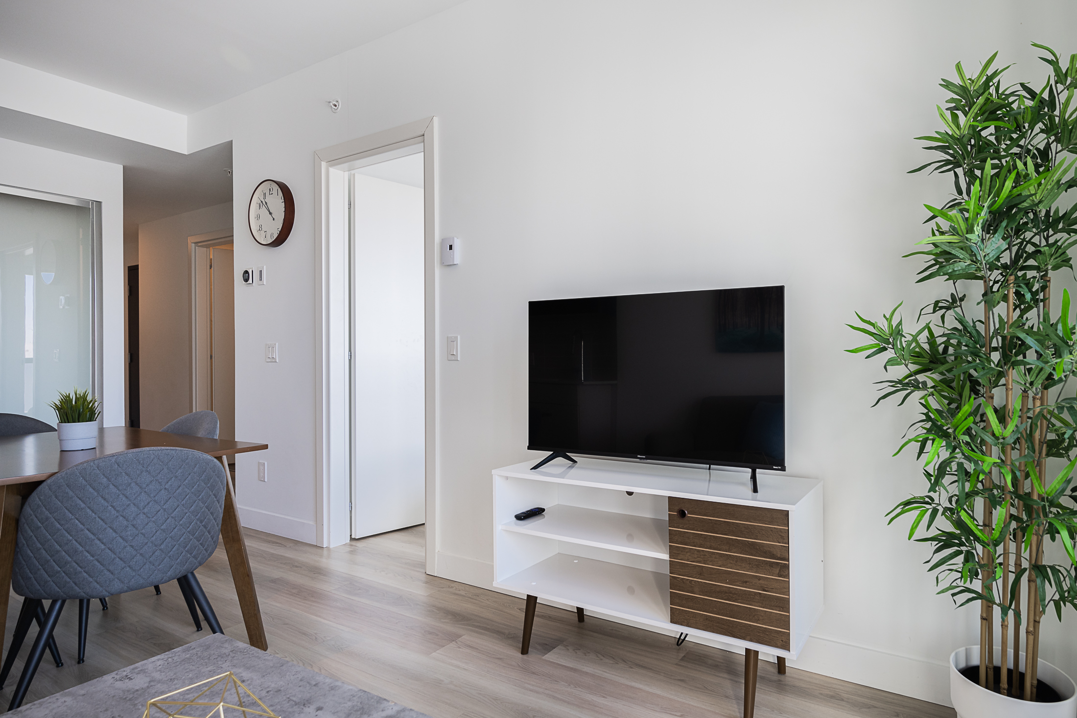 le-george-09_tv_scrreen_viwe