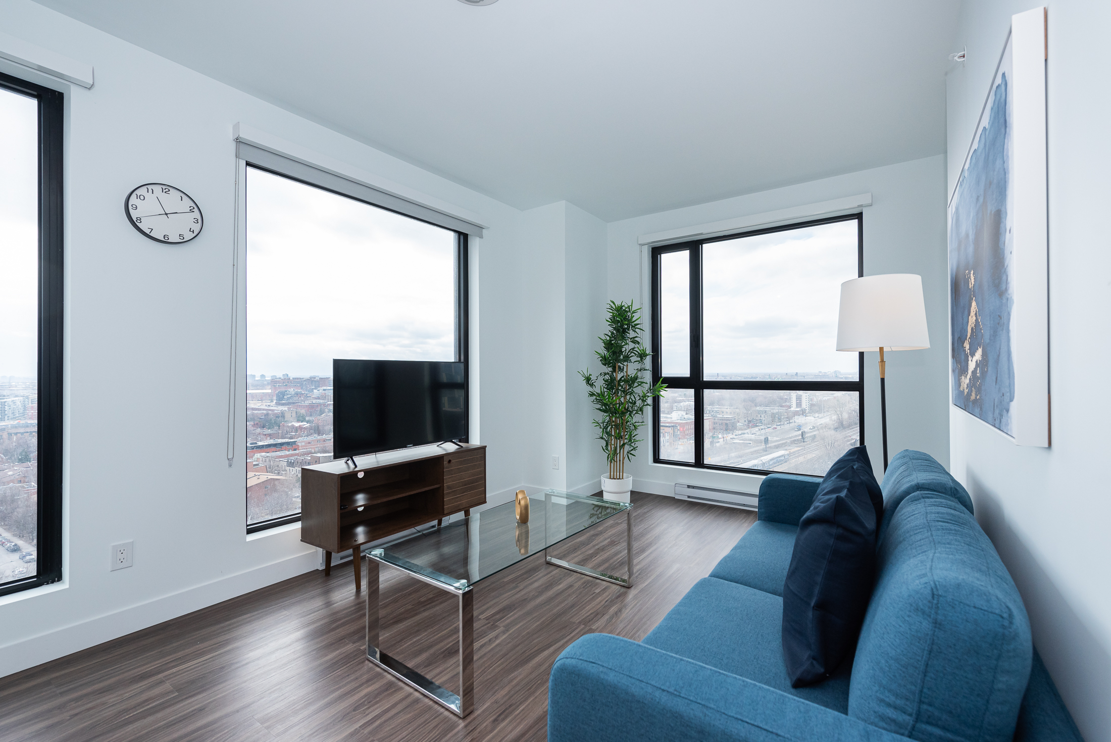 le-george-7-TV_view2