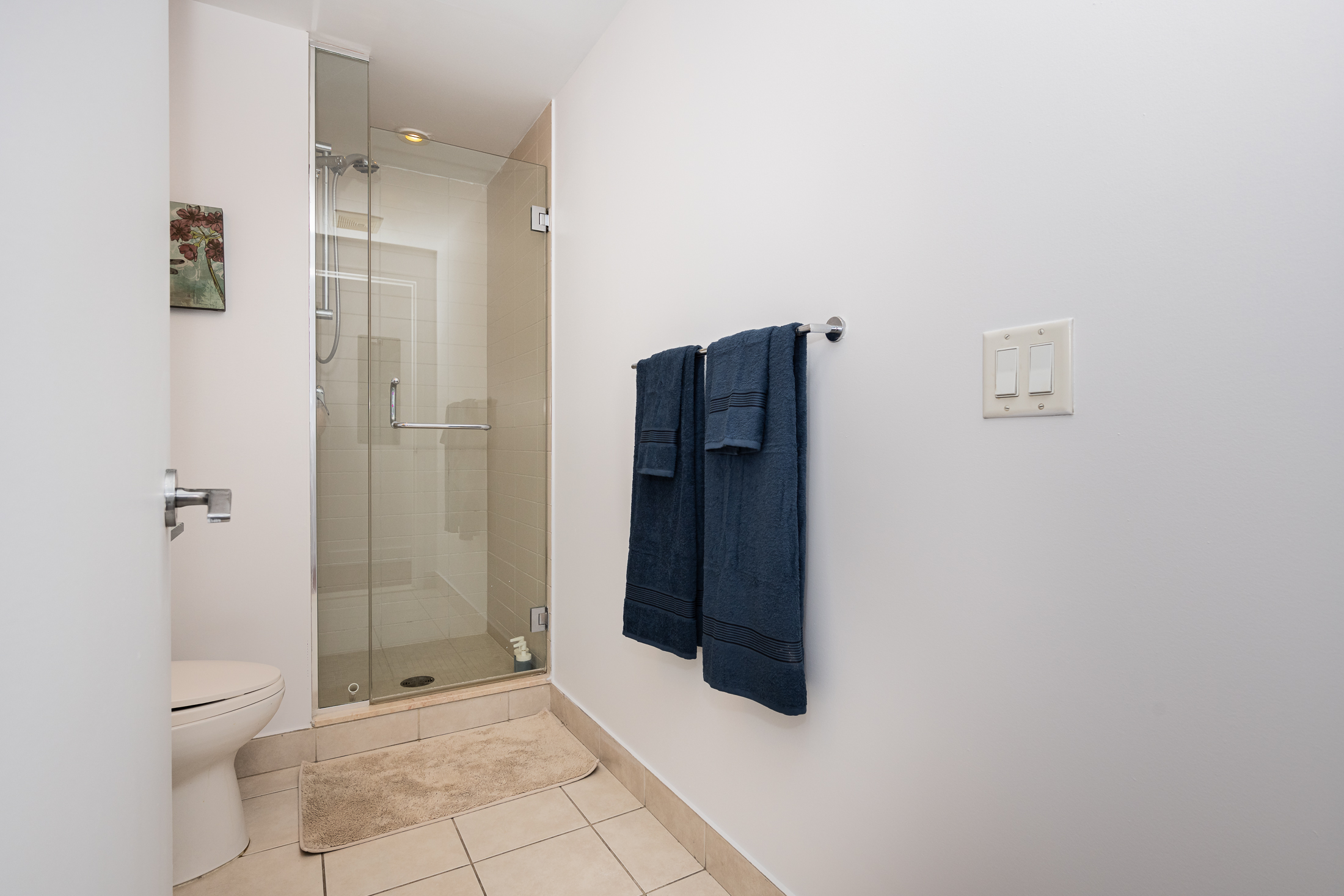 mosaique__8B-toilet3