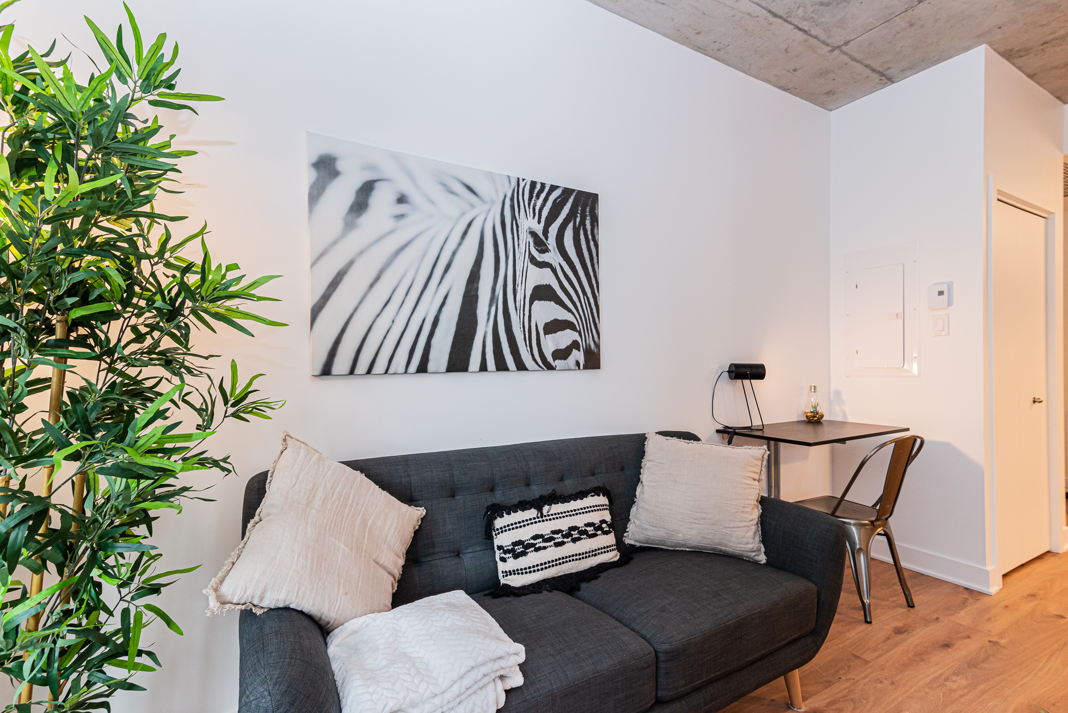 myriade__18A_wall_paintings