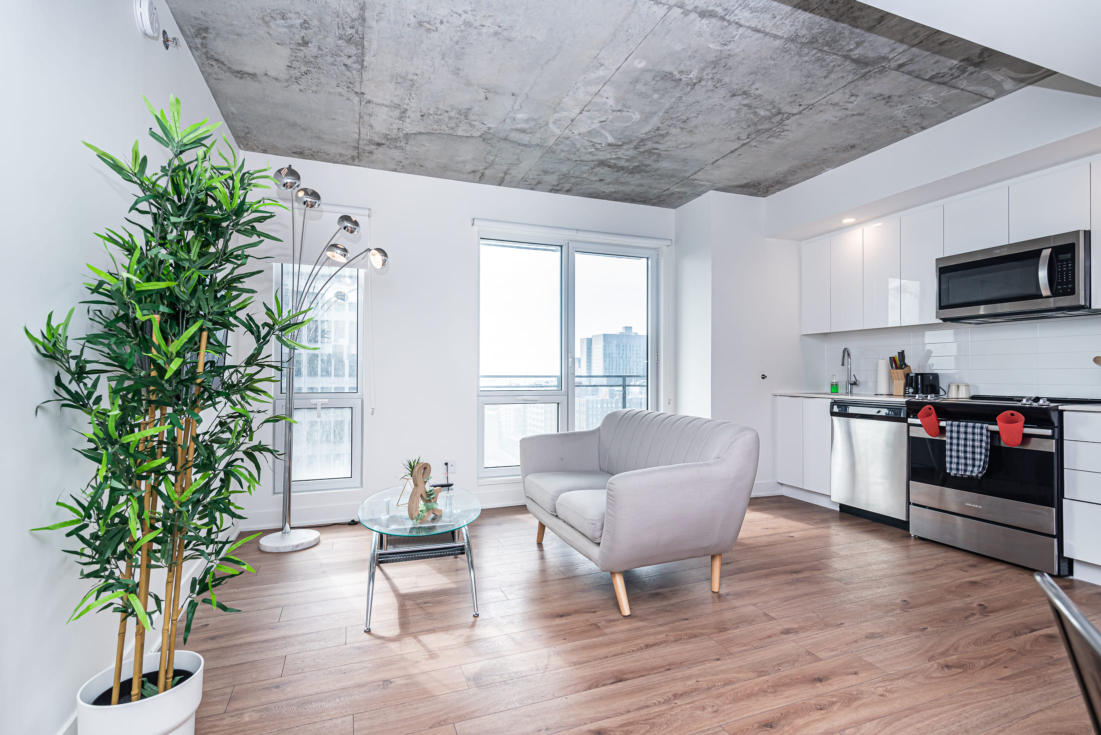 zenith__16A-living-room2