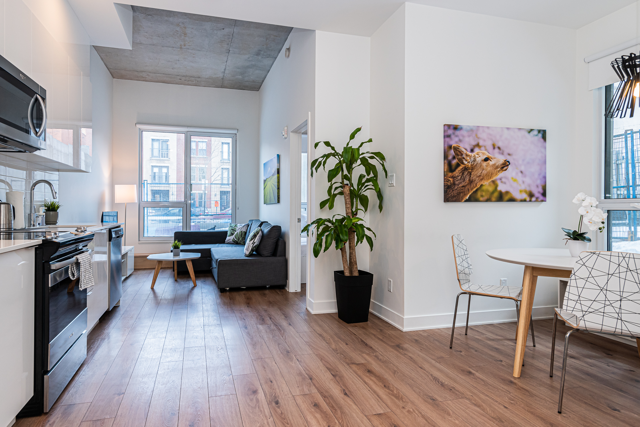 zenith__1A-_living_room