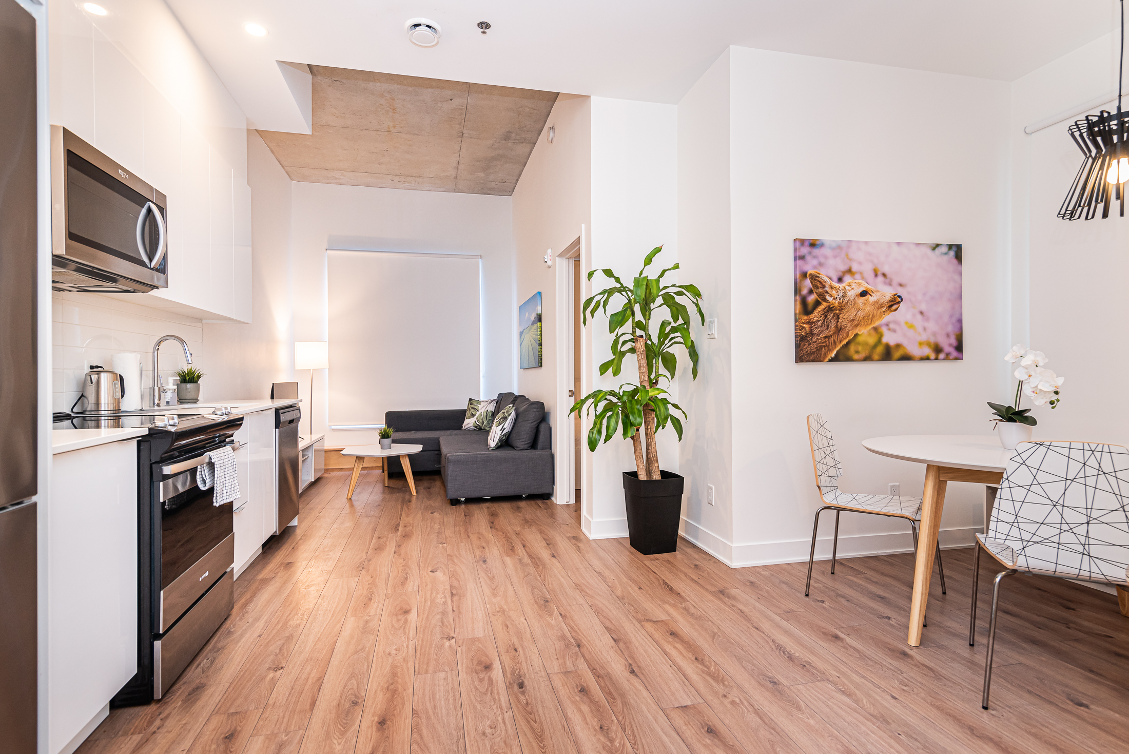 zenith__1A-kitchen_area