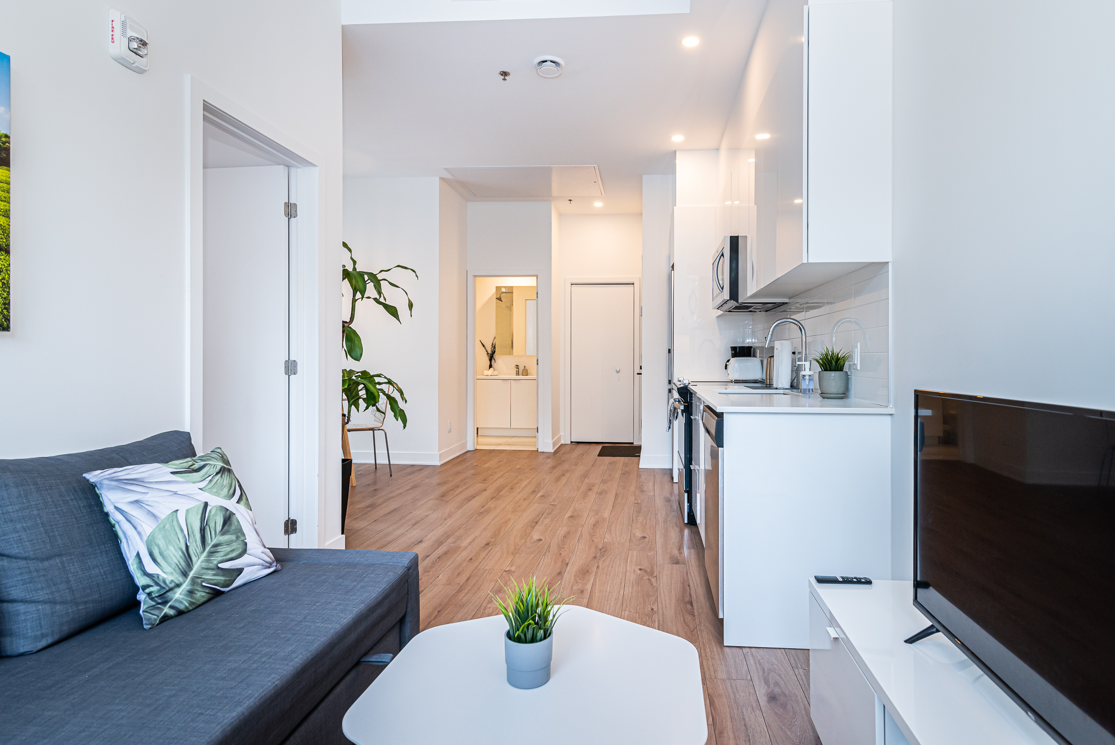 zenith__1A-living-room-6