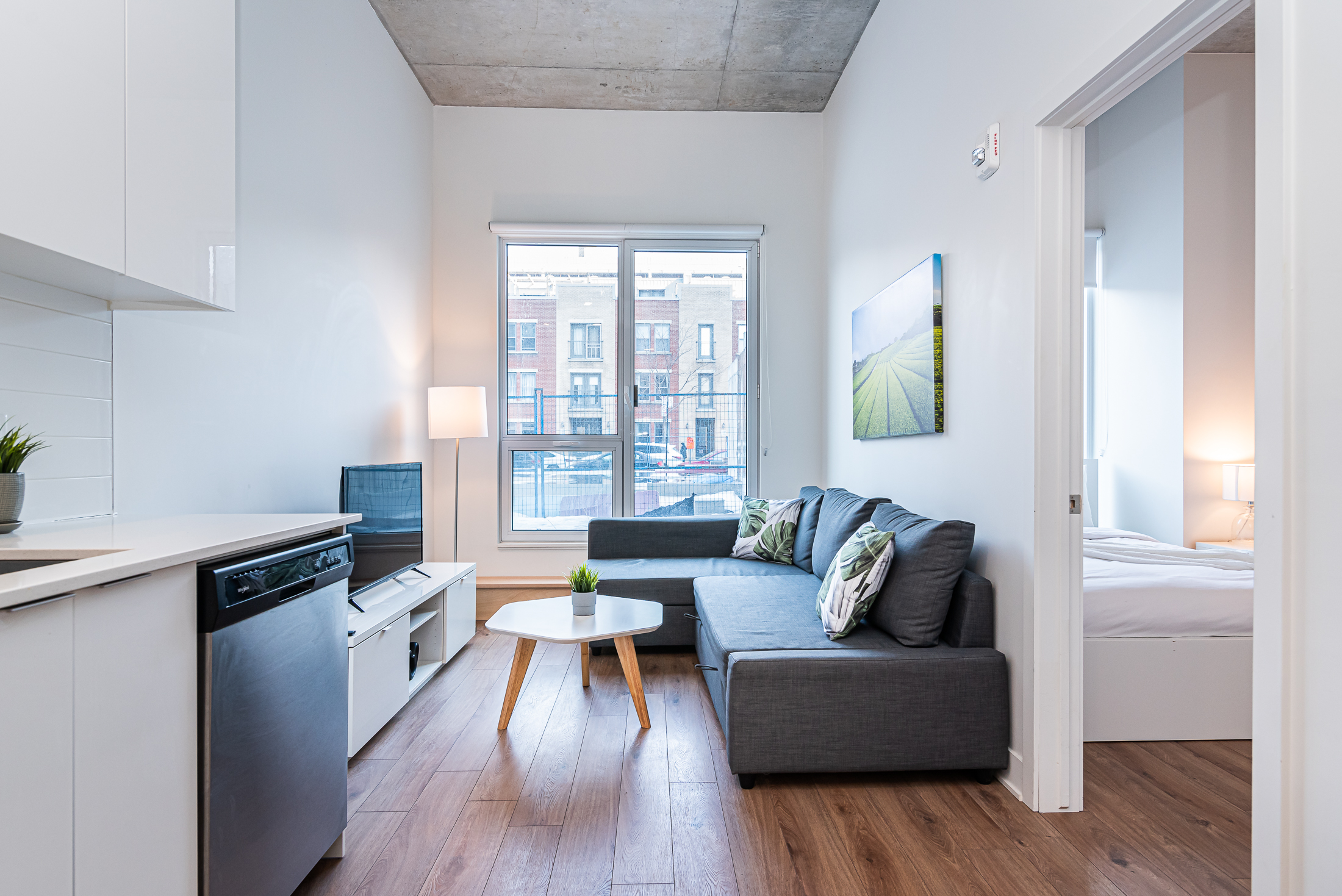 zenith__1A-living-room4