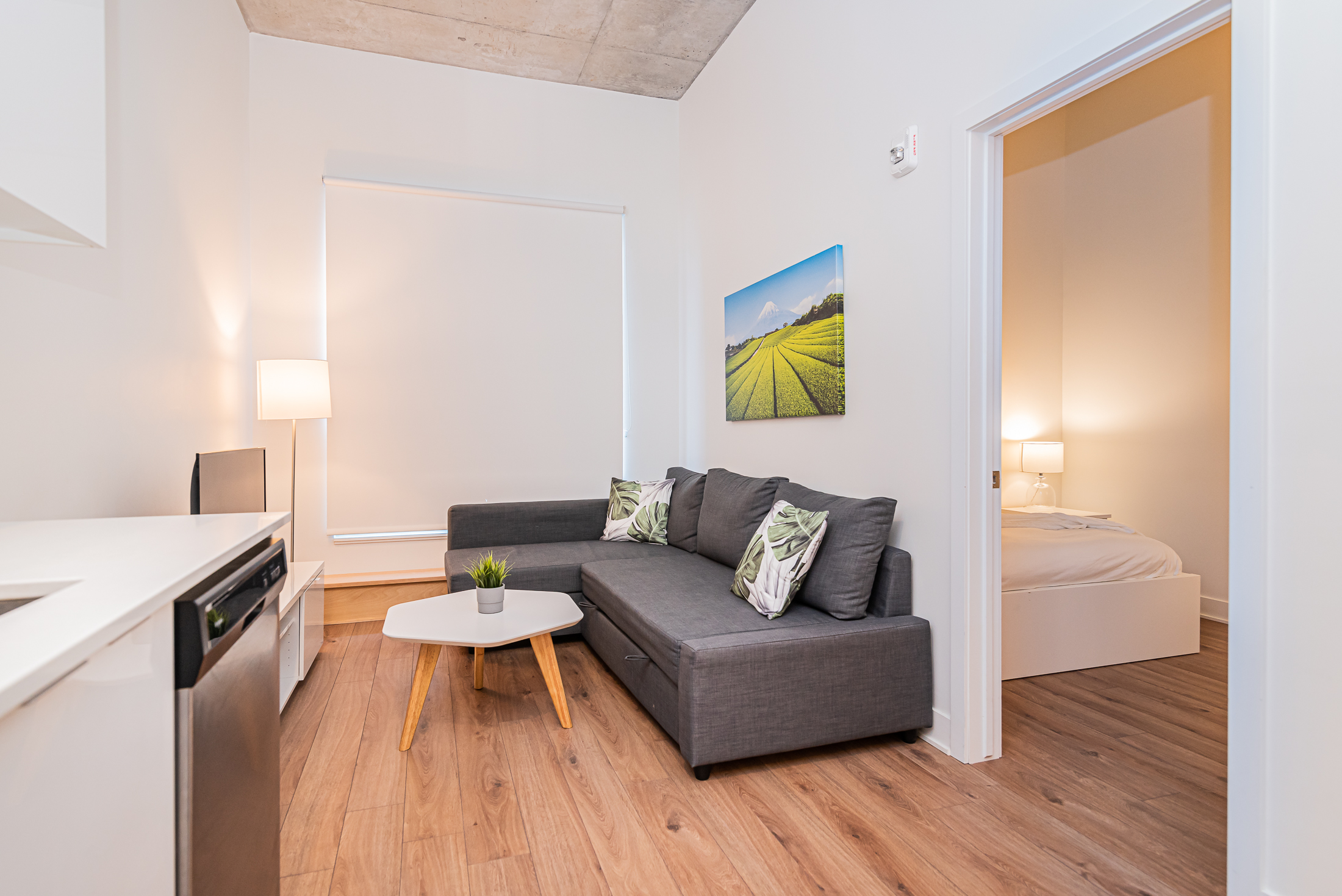 zenith__1A-livingroom7