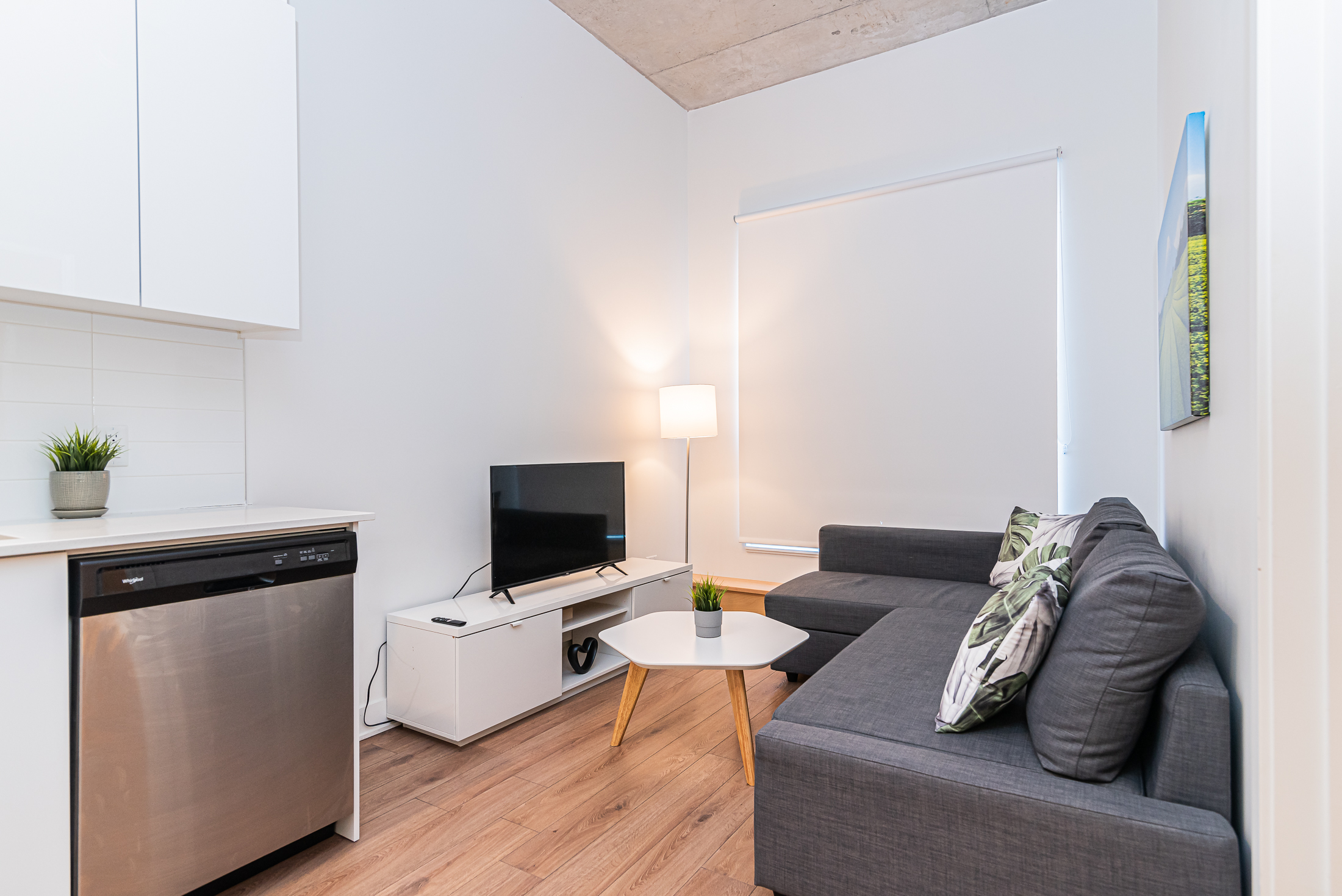 zenith__1A-livingroom8