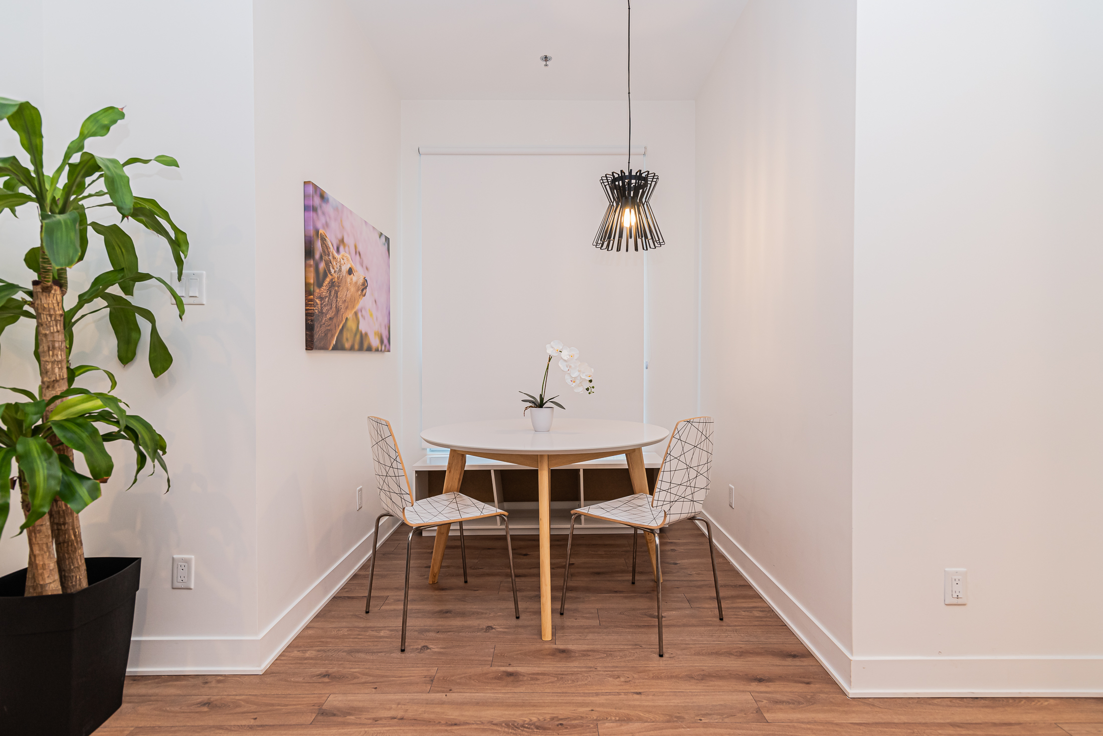 zenith__1A-sitting-area2