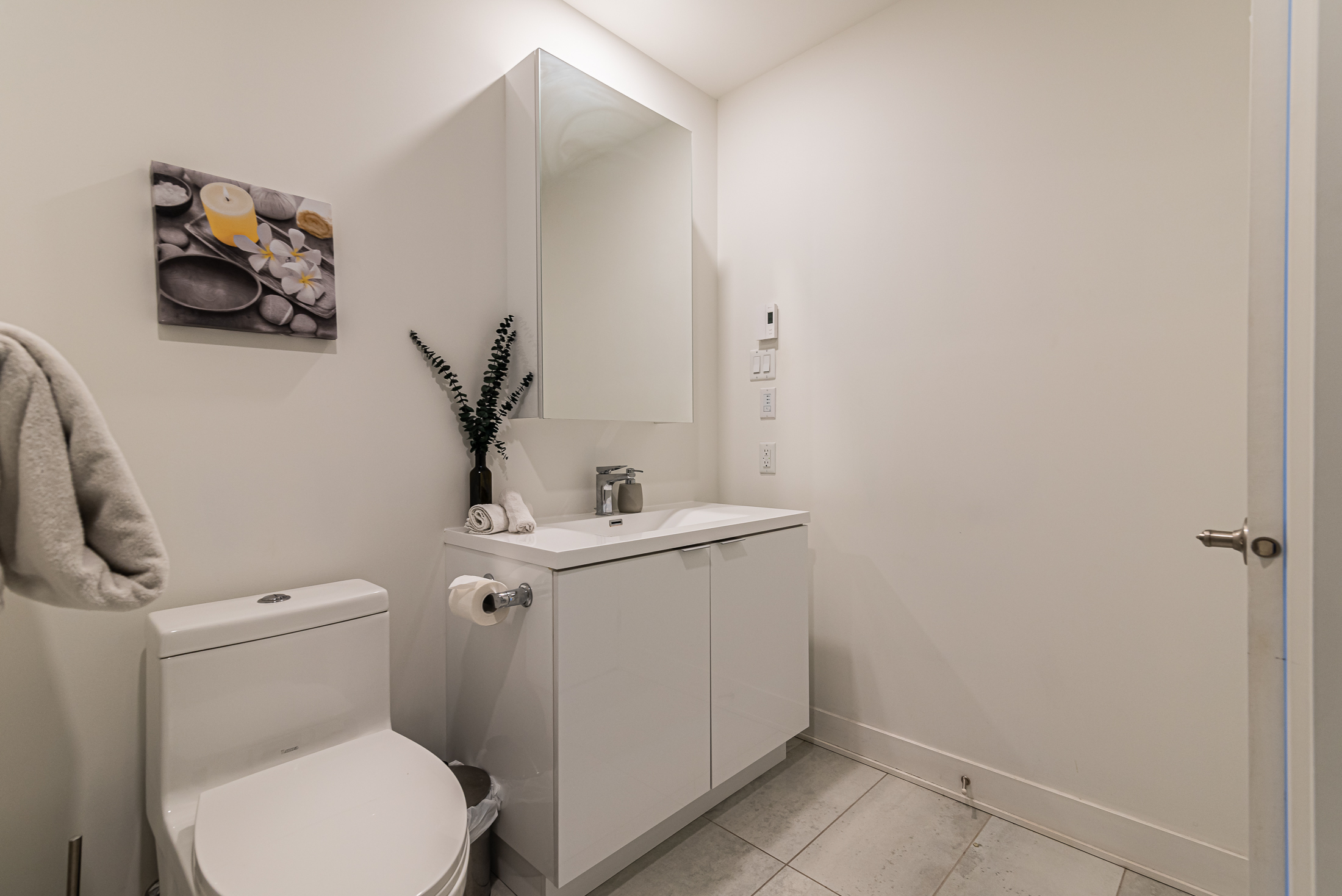 zenith__1A-toiletarea2