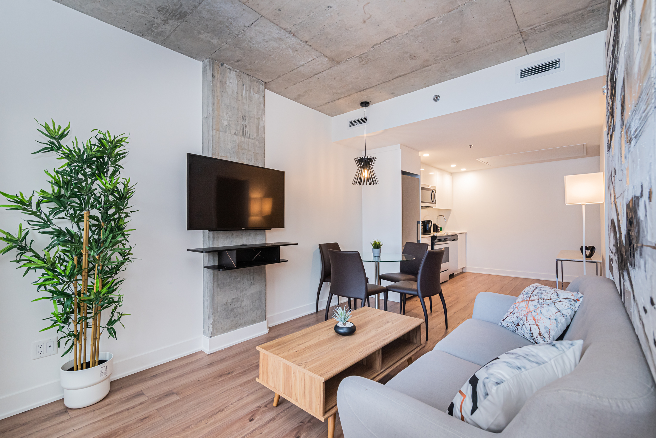 zenith__2A-living-room