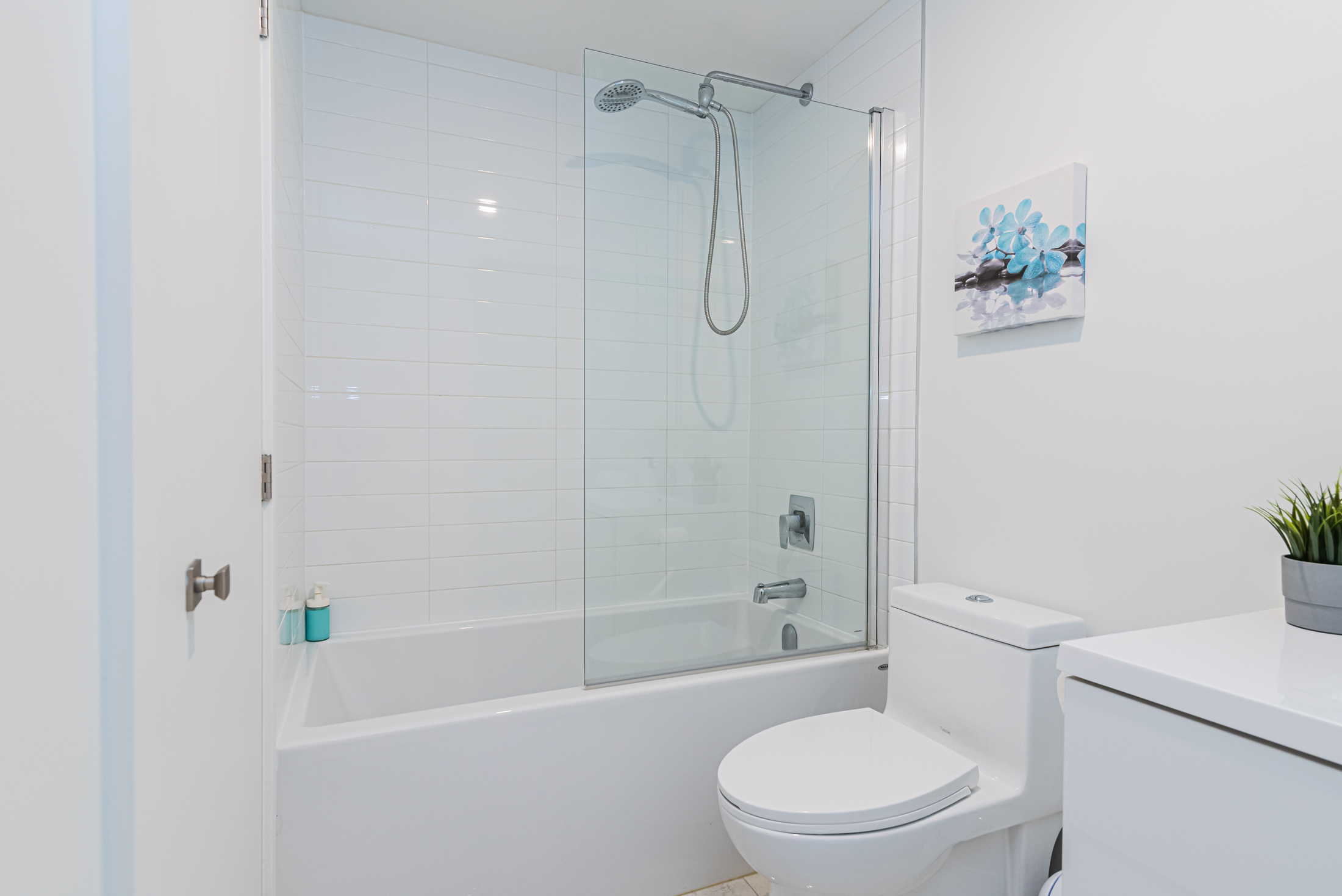 zenith__2A-toilet_area