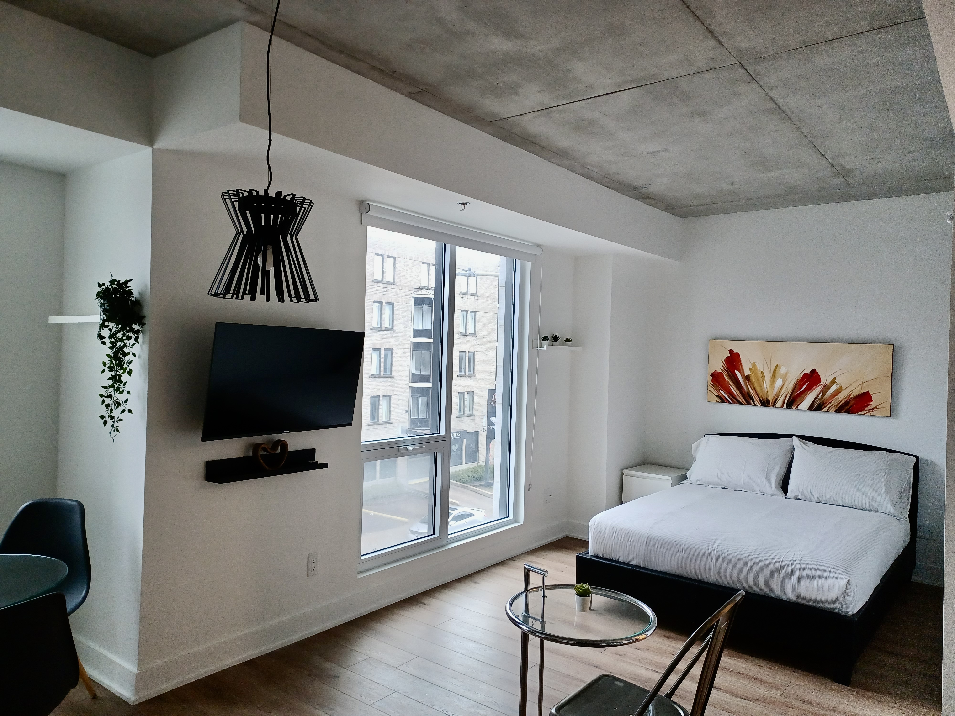 zenith__3A-_Tv_view_2