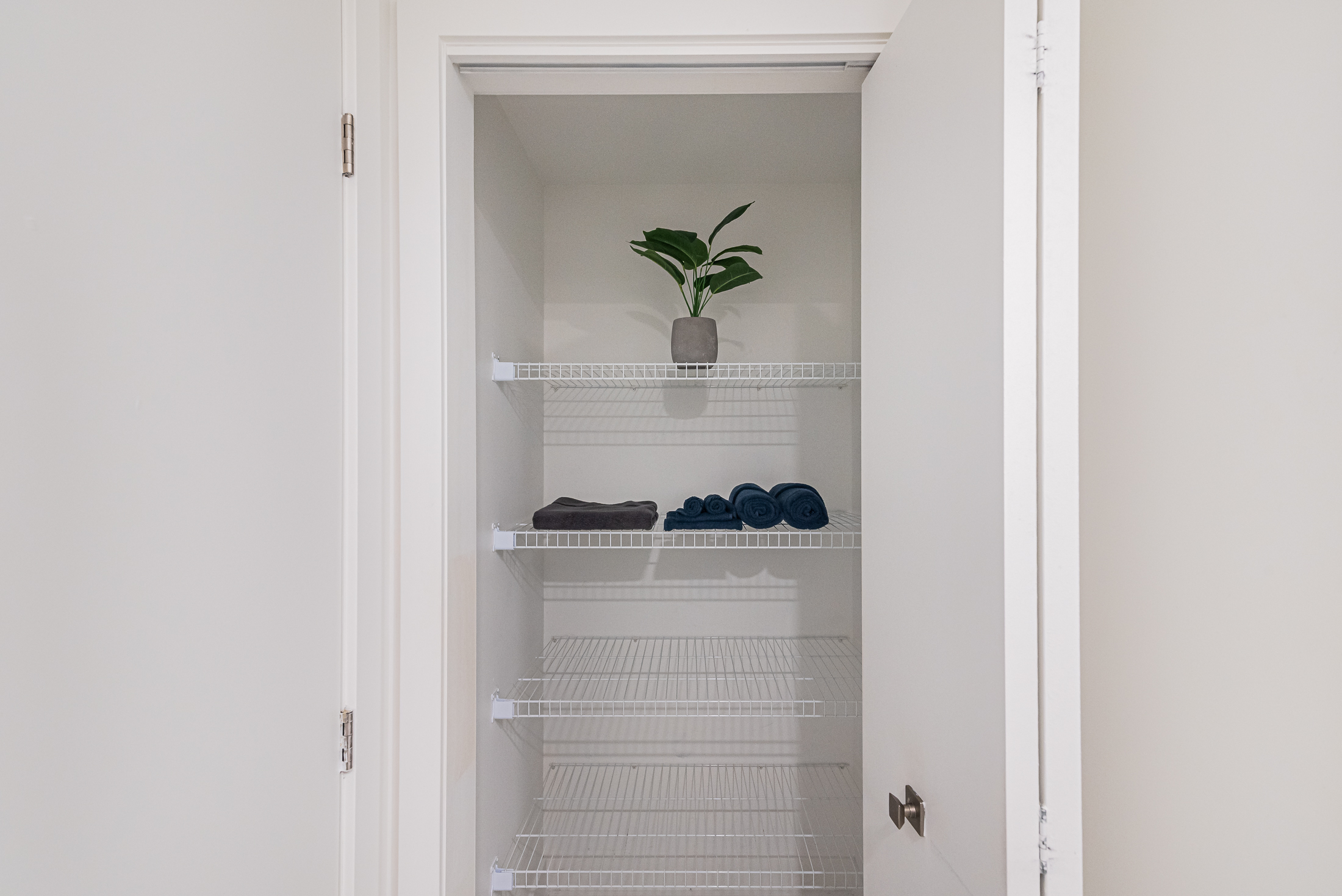 zenith__4A_flower_pot