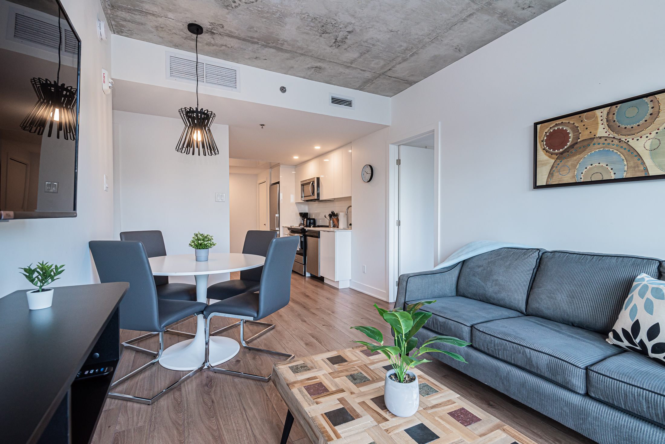 zenith__4A_living_area3