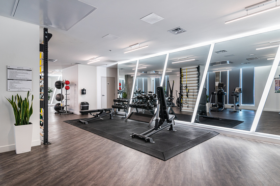 zenith__6A_gym_area