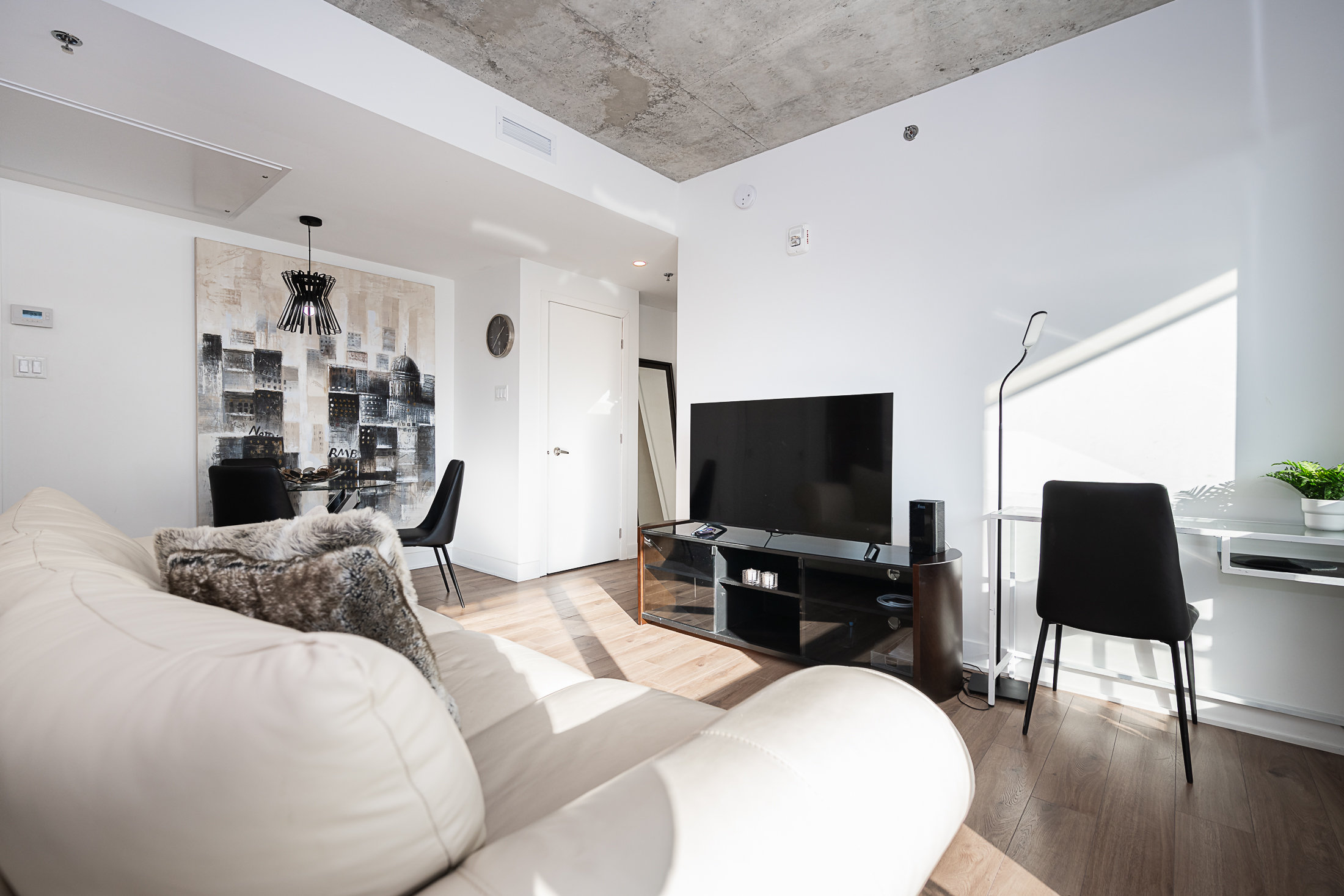 zenith__6A_living_room_tv_view2