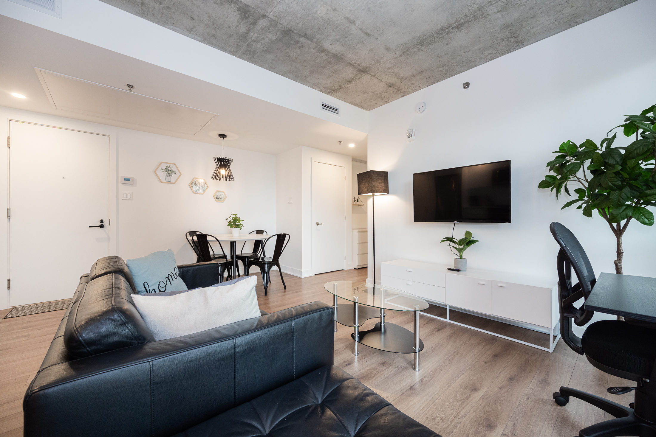 zenith__8A_living_room2